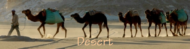 Desert