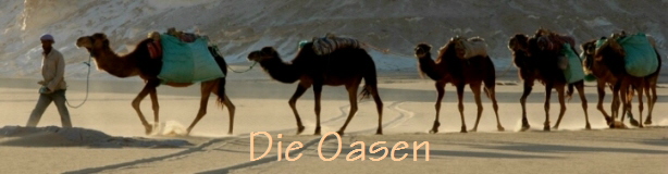  Die Oasen